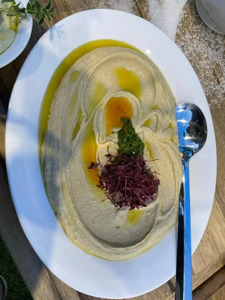 תמונה מספר 16