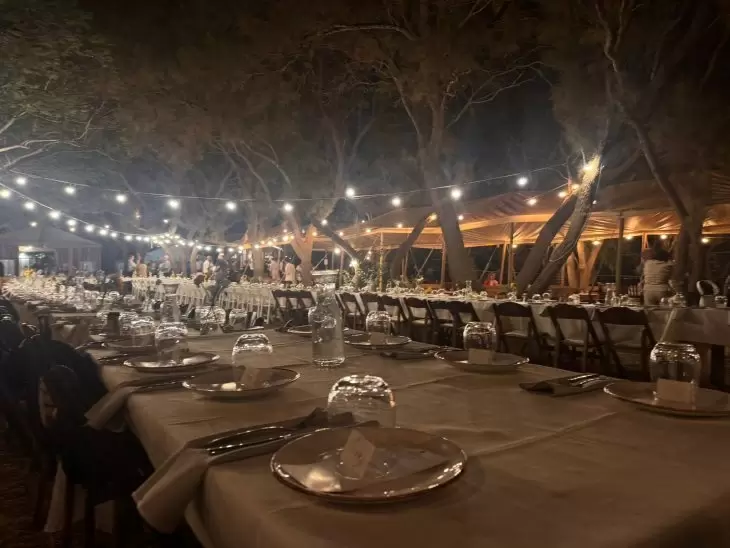 תמונה מספר 1