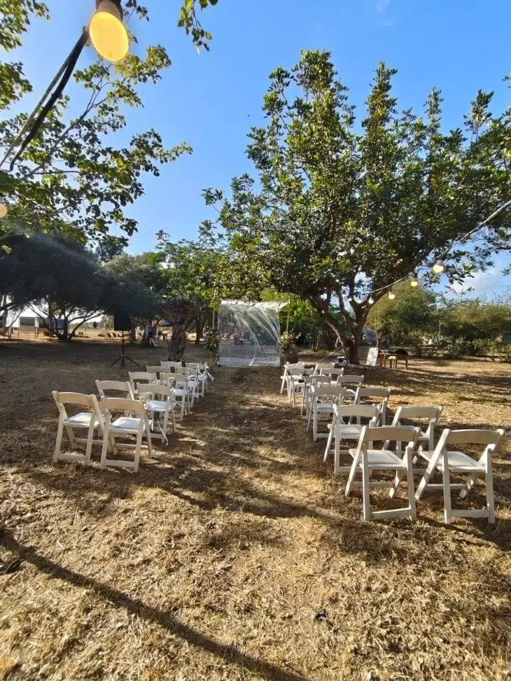 תמונה מספר 4