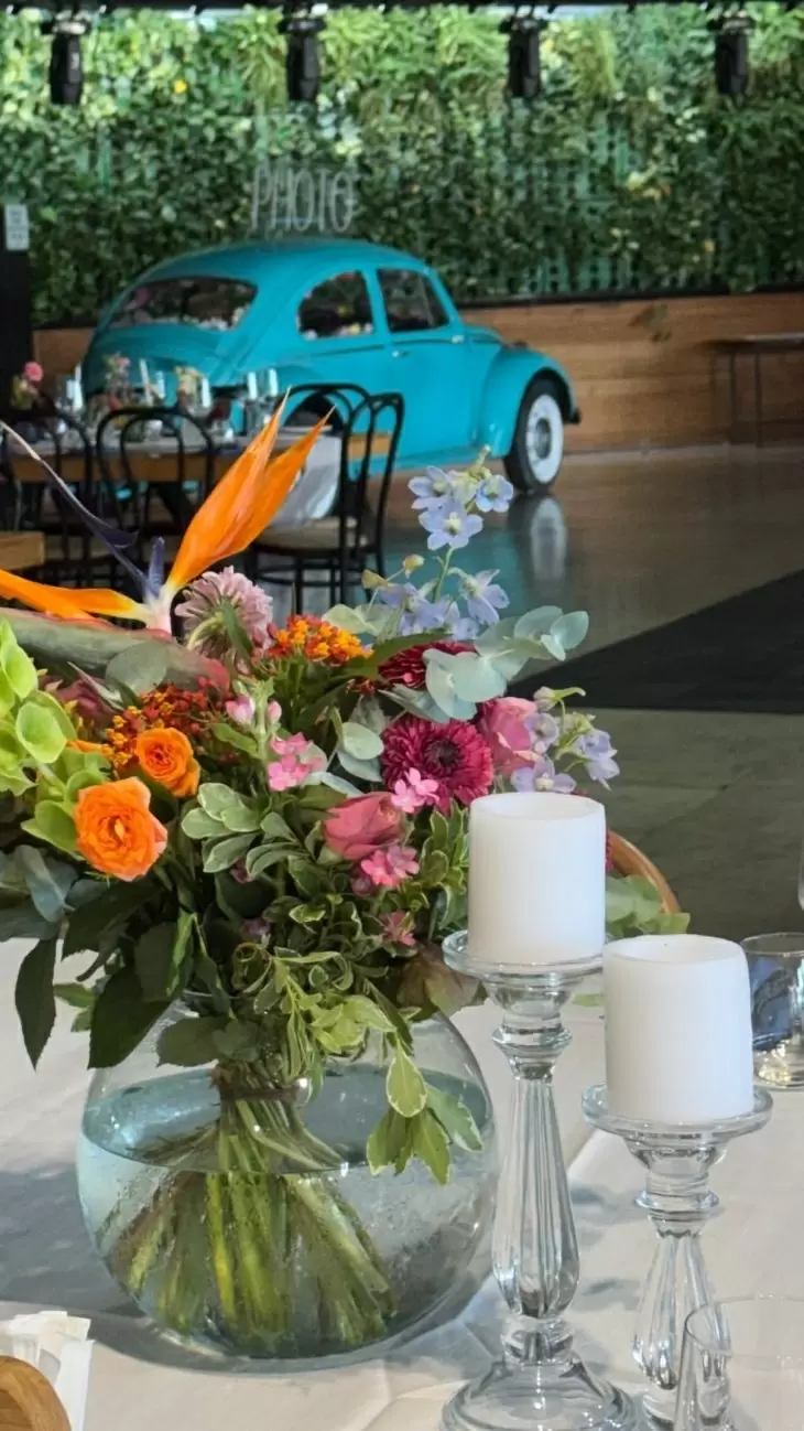 review gallery
