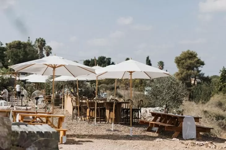 תמונה מספר 8