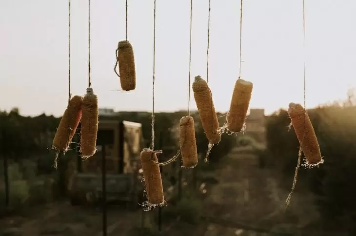 תמונה מספר 3