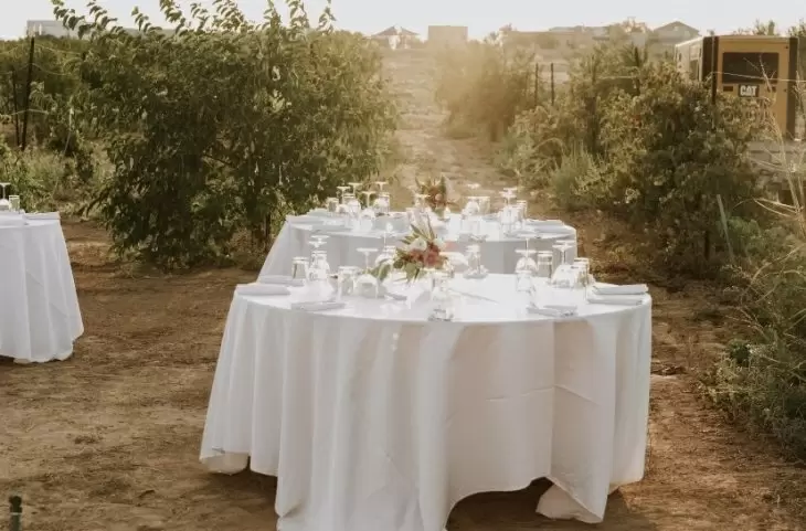תמונה מספר 7