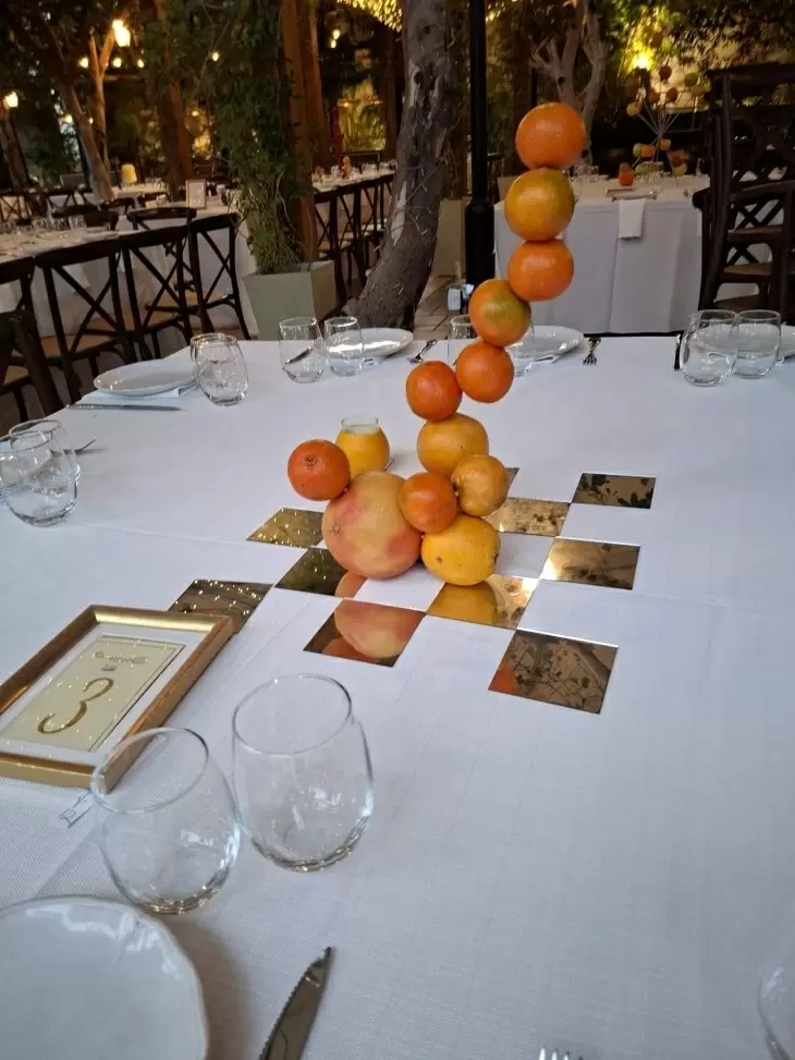 תמונה מספר 6