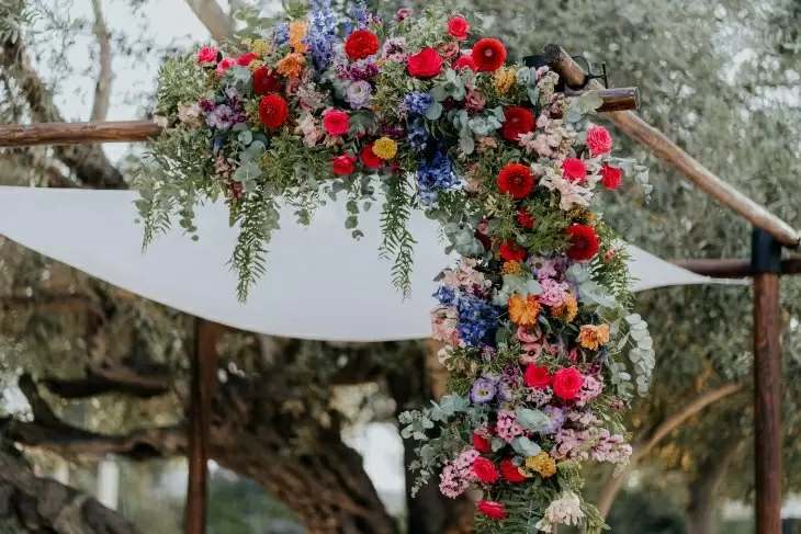 תמונה מספר 2