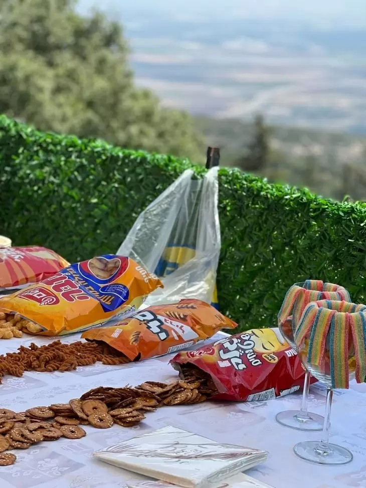 תמונה מספר 5