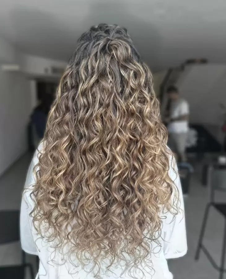 תמונה מספר 3