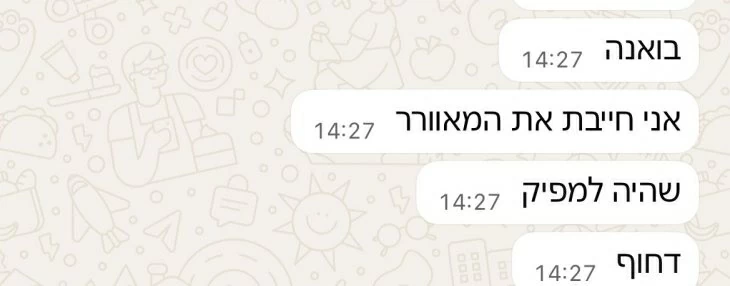 תמונה מספר 2