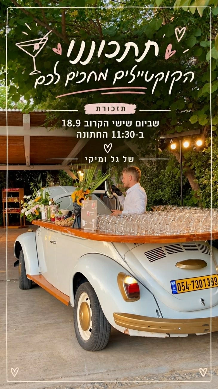 תמונה מספר 1