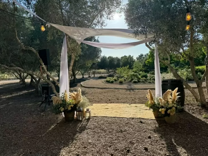 תמונה מספר 2