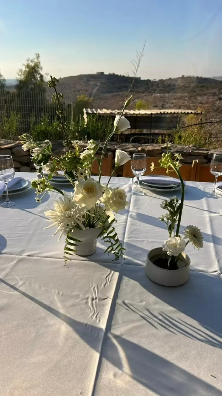 תמונה מספר 1