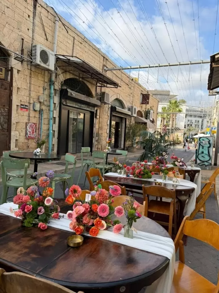 תמונה מספר 5