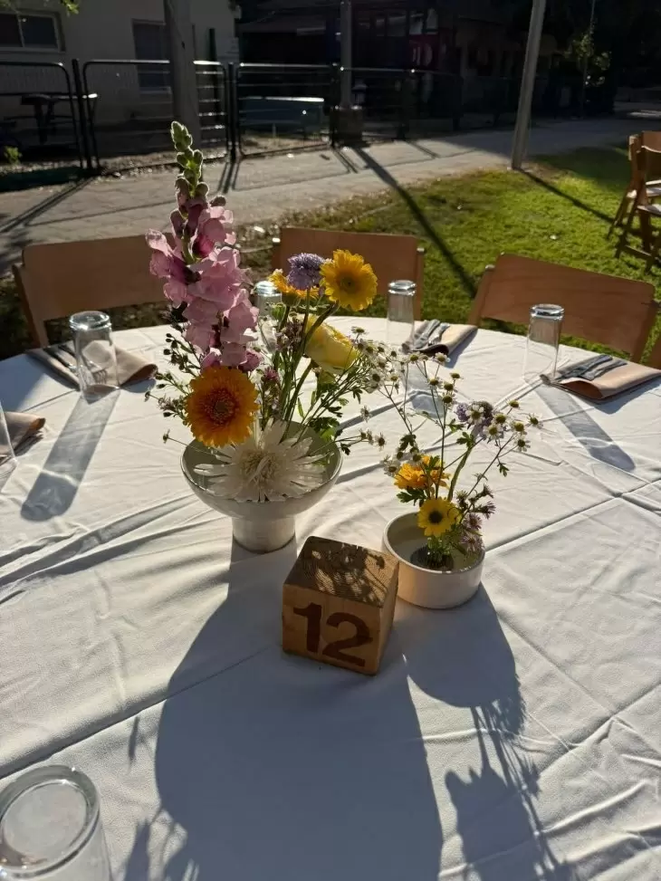 תמונה מספר 4