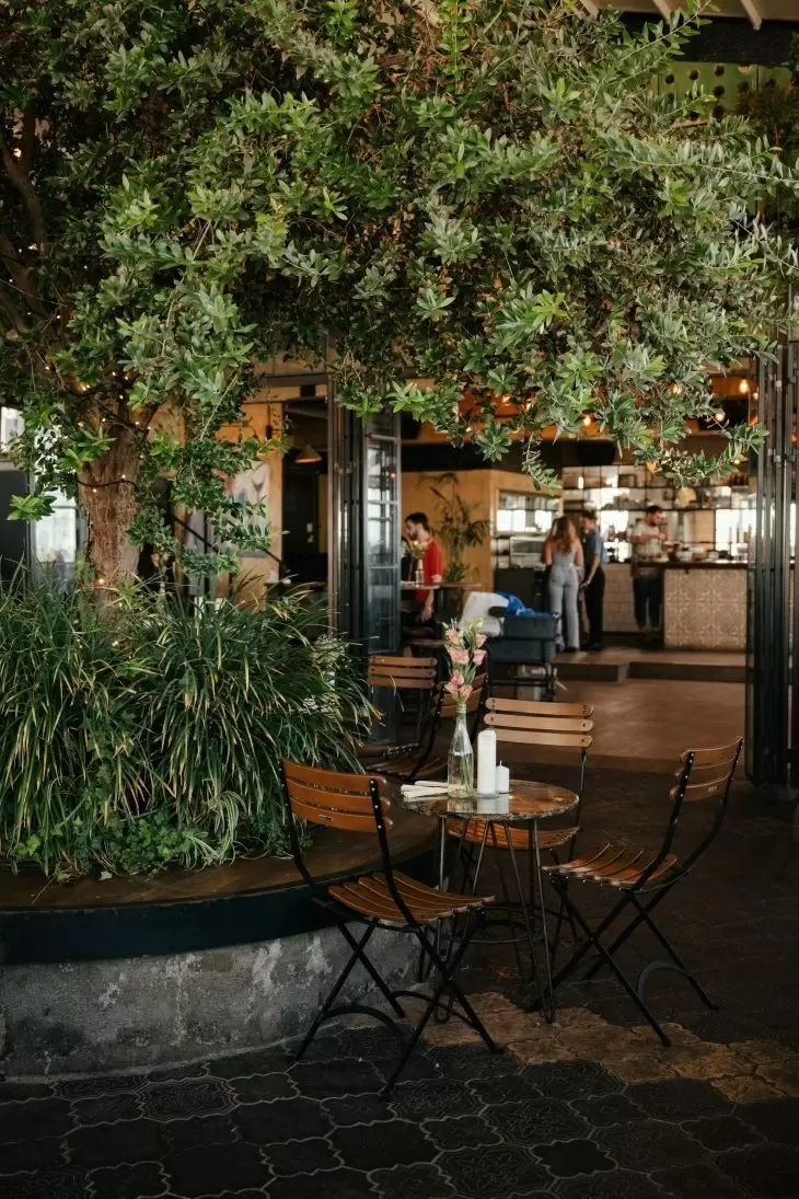 תמונה מספר 2