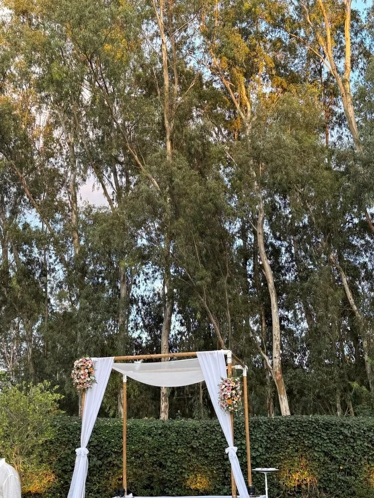 תמונה מספר 2