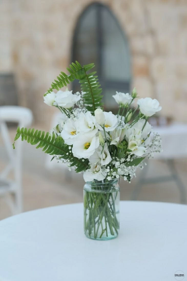 תמונה מספר 3