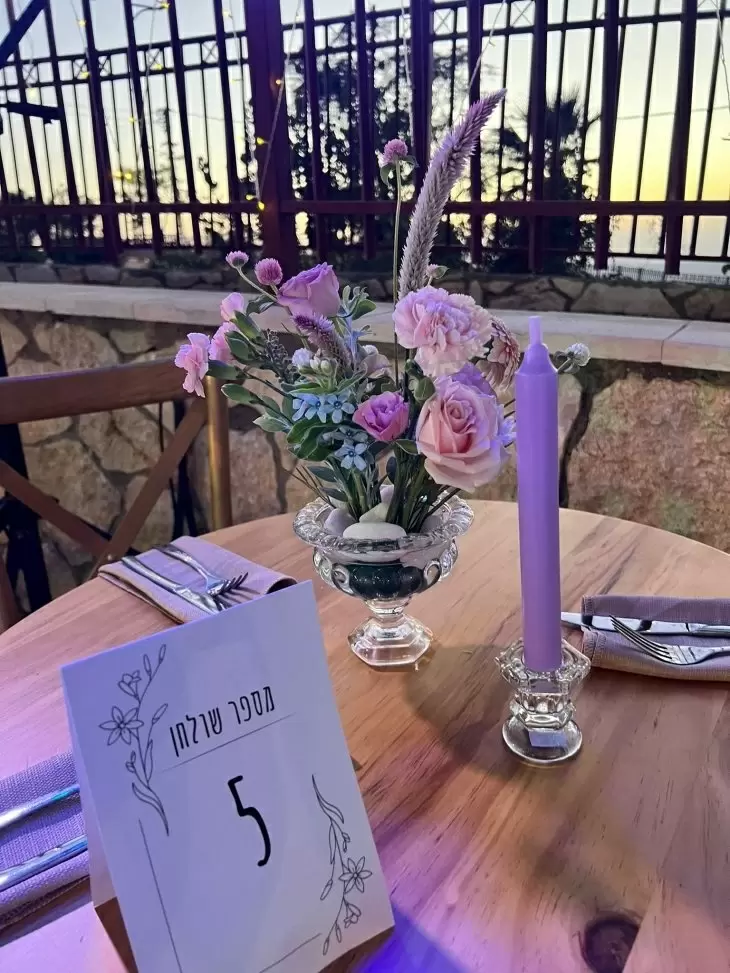 תמונה מספר 3