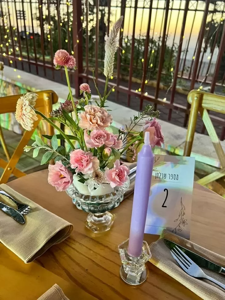 תמונה מספר 5