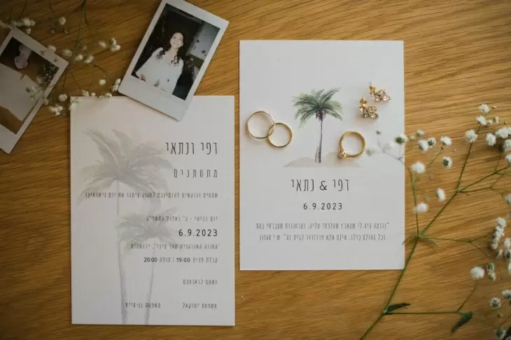 תמונה מספר 8