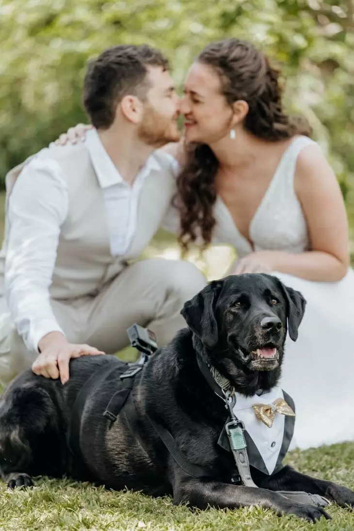 תמונה מספר 5