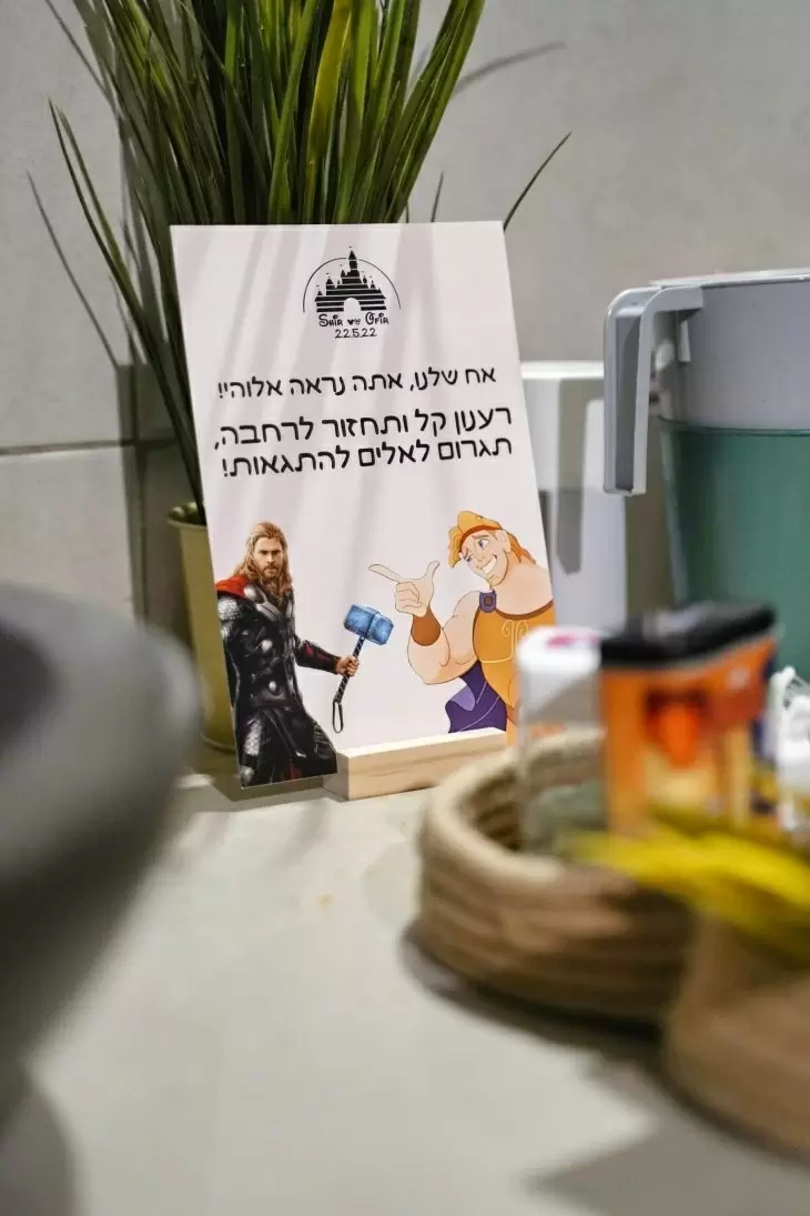 תמונה מספר 3
