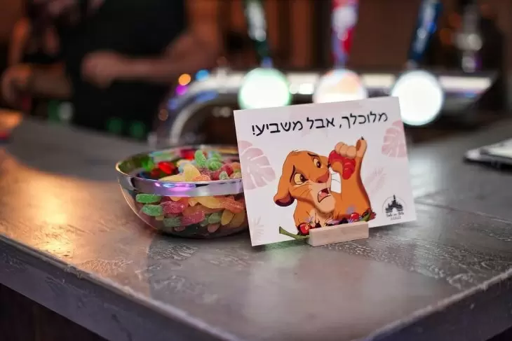 תמונה מספר 5