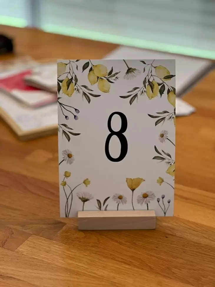 תמונה מספר 3