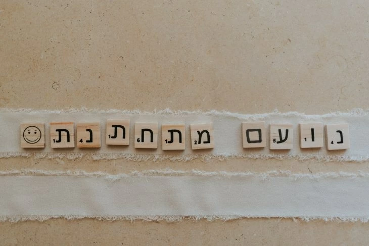 תמונה מספר 3