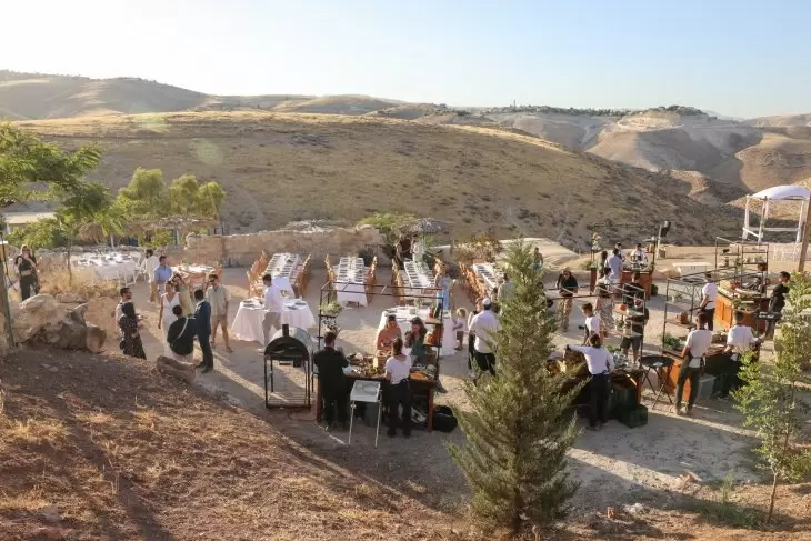 תמונה מספר 12