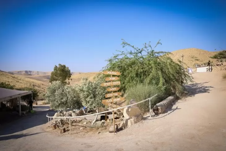 תמונה מספר 13