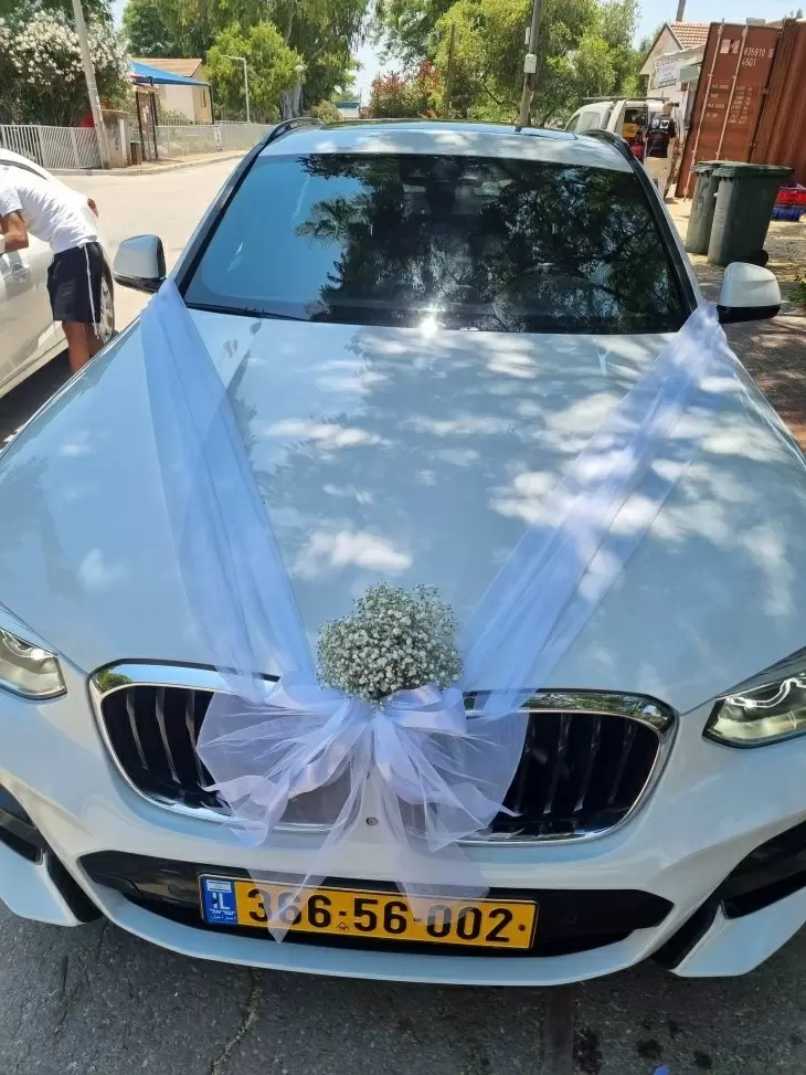 תמונה מספר 8