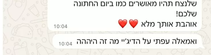 תמונה מספר 1