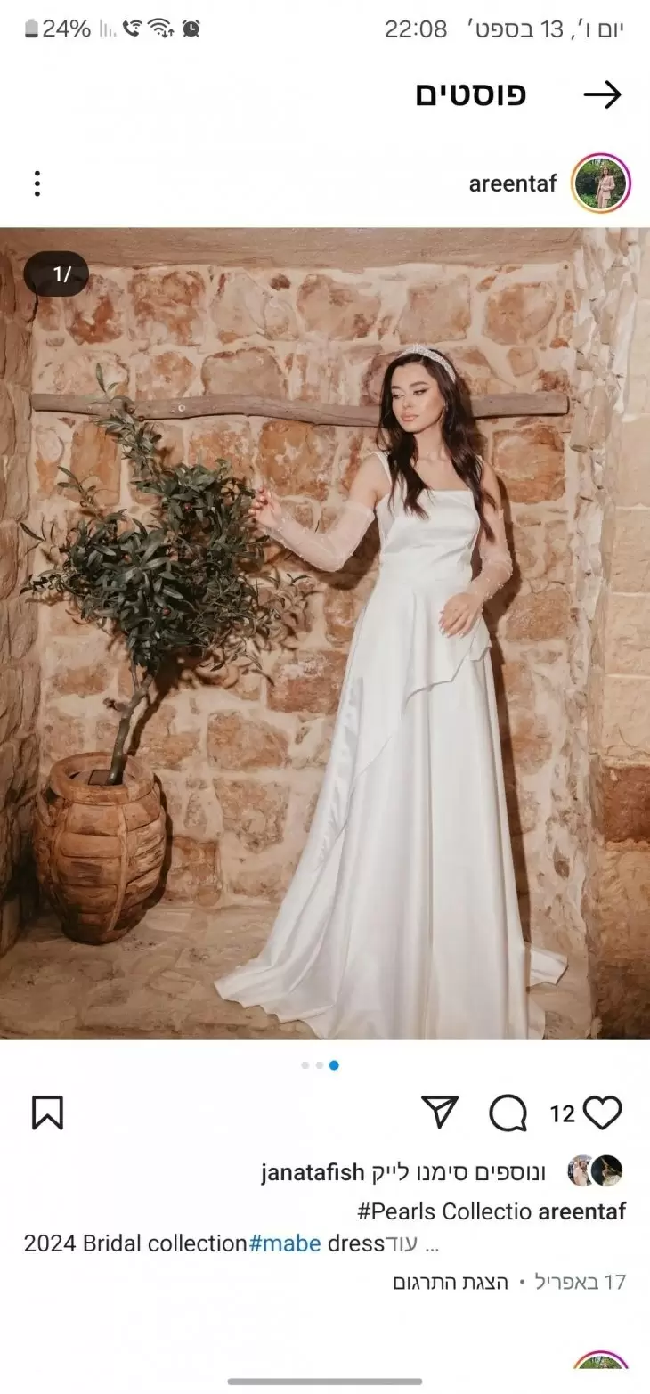 תמונה מספר 6