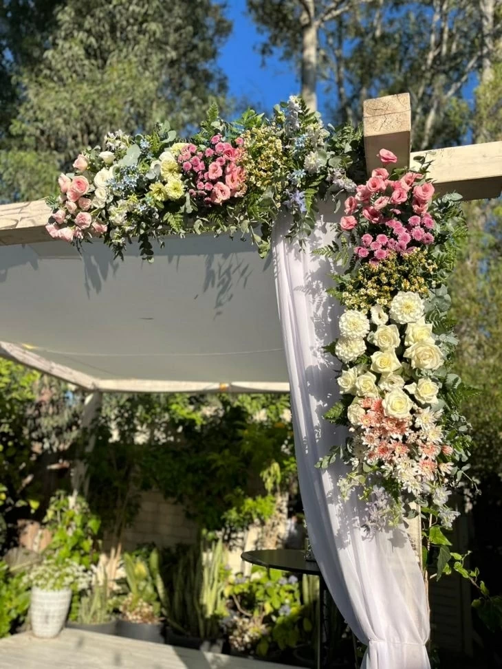 תמונה מספר 4