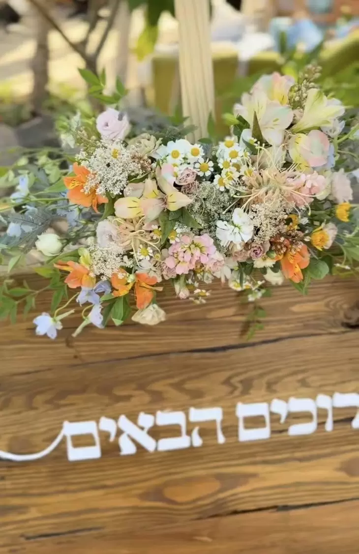 תמונה מספר 1