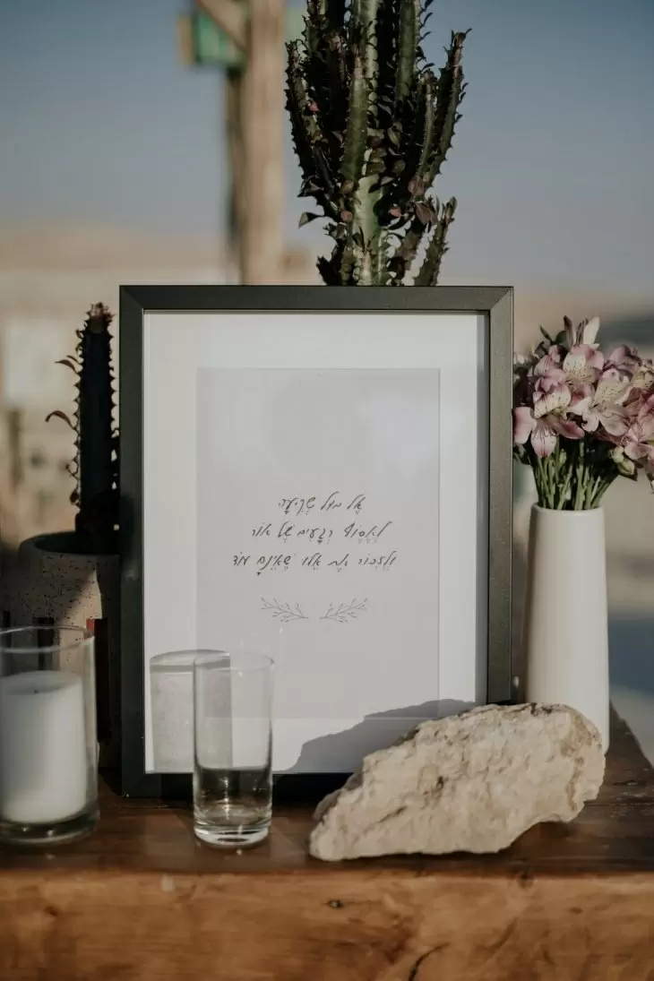 תמונה מספר 13