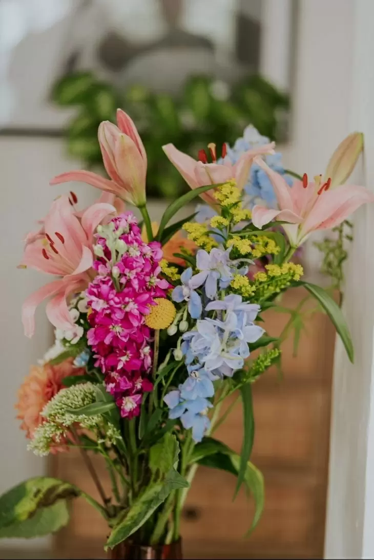 review gallery