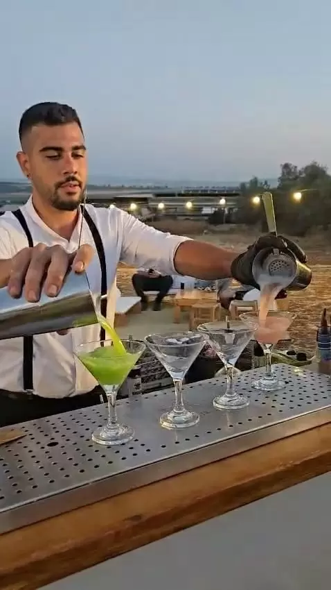 תמונה מספר 5