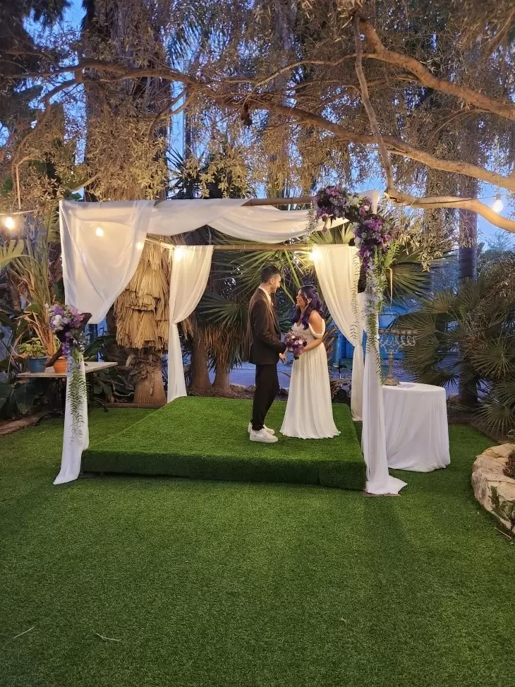 תמונה מספר 10