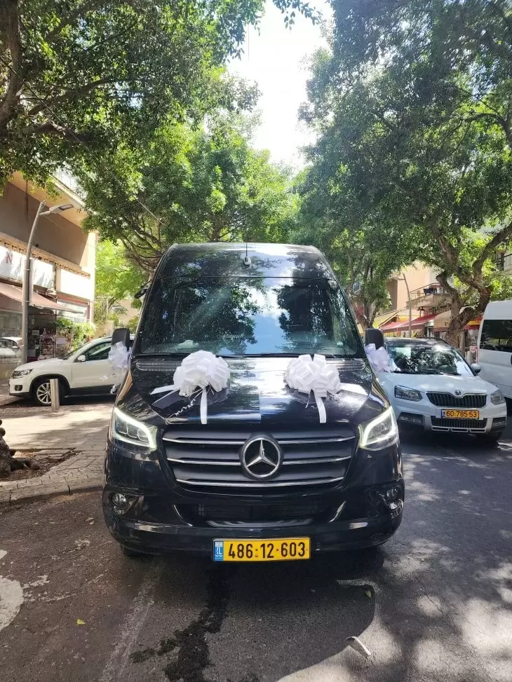 תמונה מספר 4