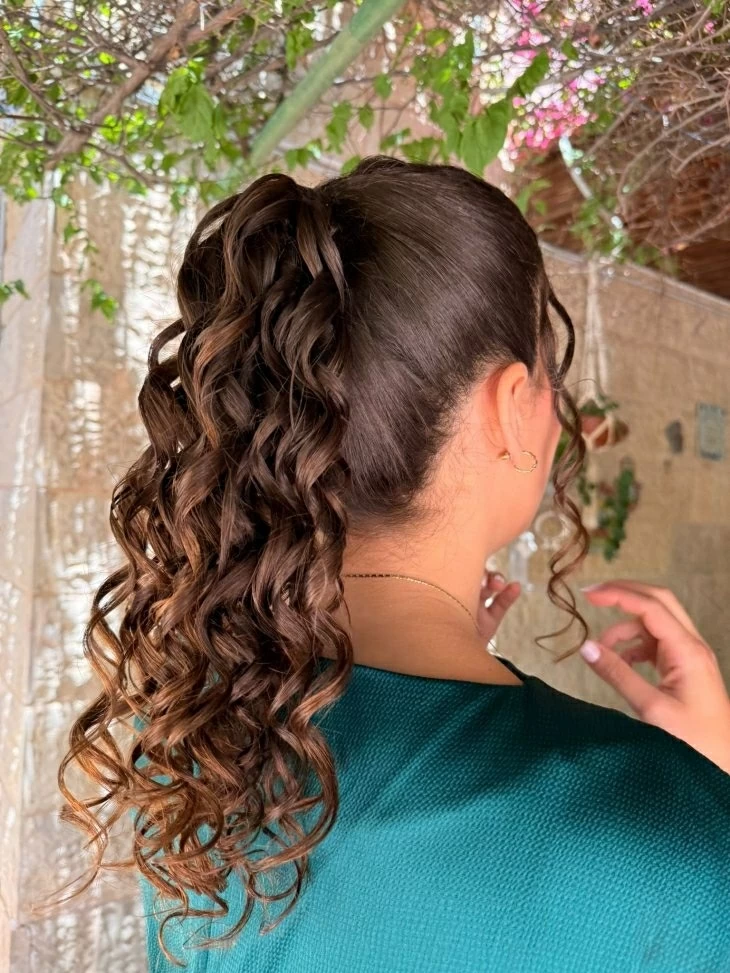 תמונה מספר 1