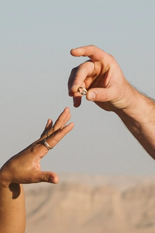 תמונה מספר 1