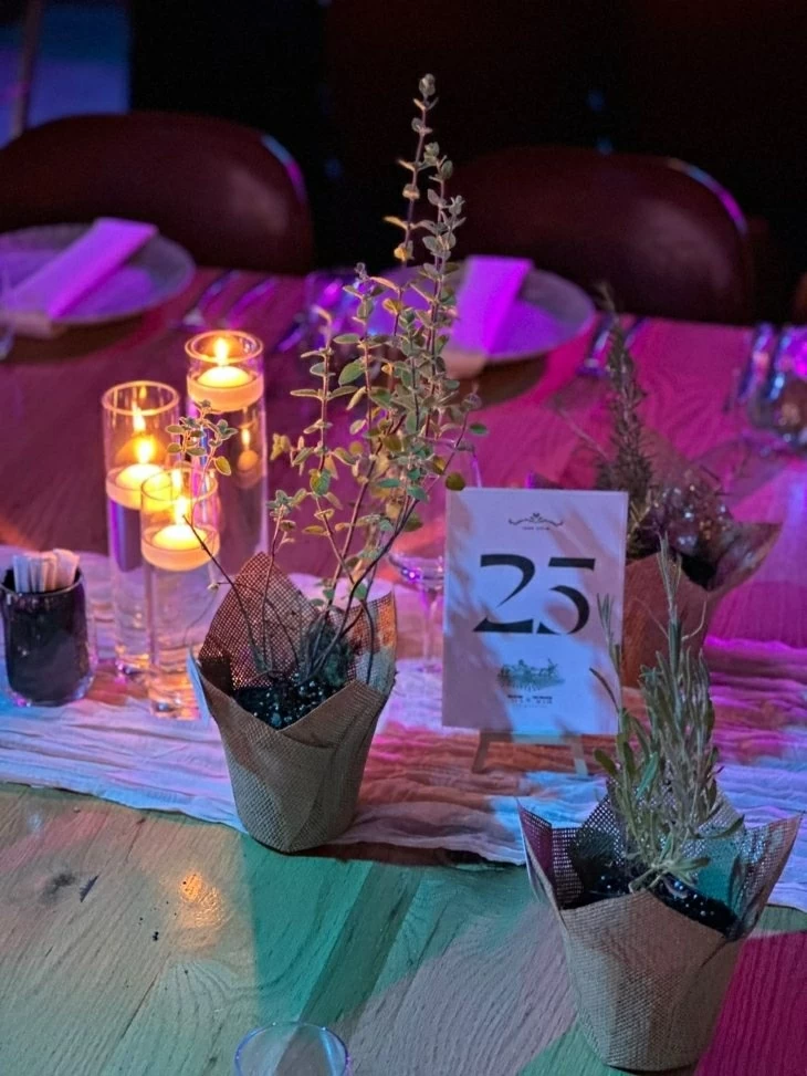תמונה מספר 1