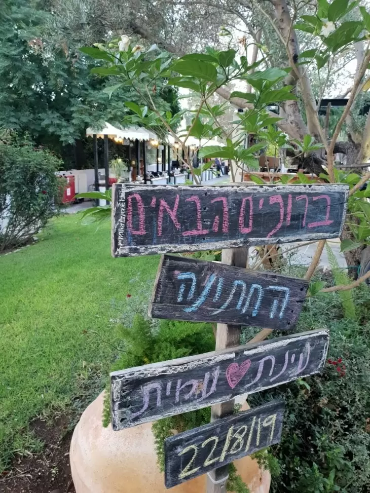 תמונה מספר 5