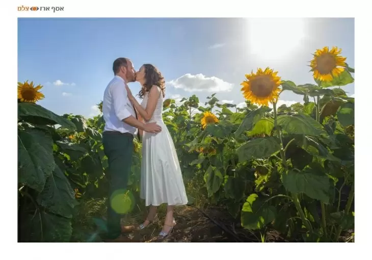 review gallery