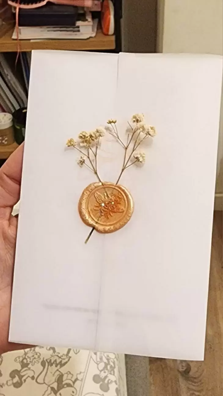 תמונה מספר 1
