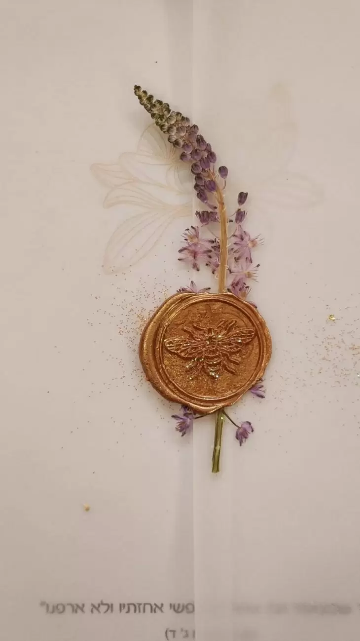 תמונה מספר 3
