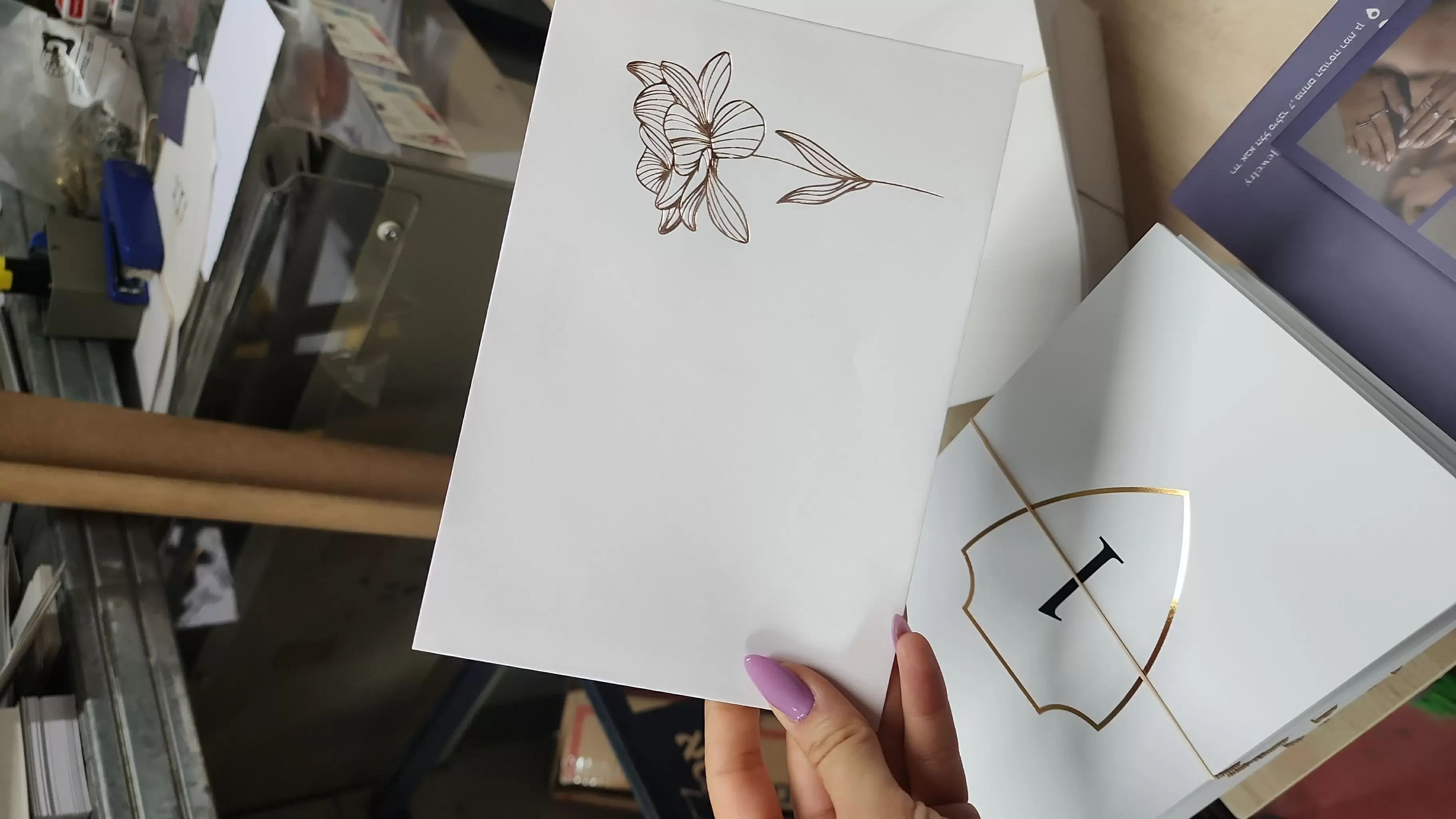 תמונה מספר 5