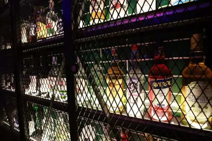 תמונה מספר 11