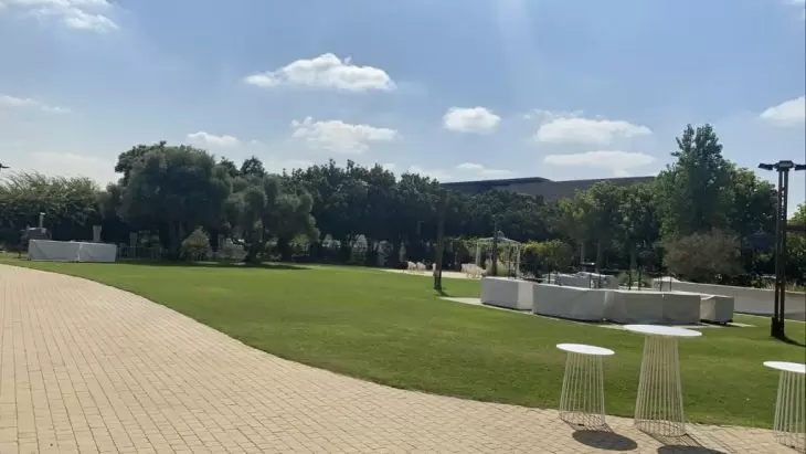 תמונה מספר 8